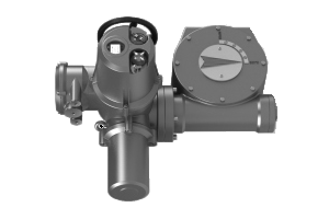 Ридан 065L8189R — Электропривод AMB-M-45 + MY-6-1SD 220В без блока управления; IP67; для шаровых кранов RJIP DN600 стандартный проход